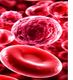 Respiratory Infections